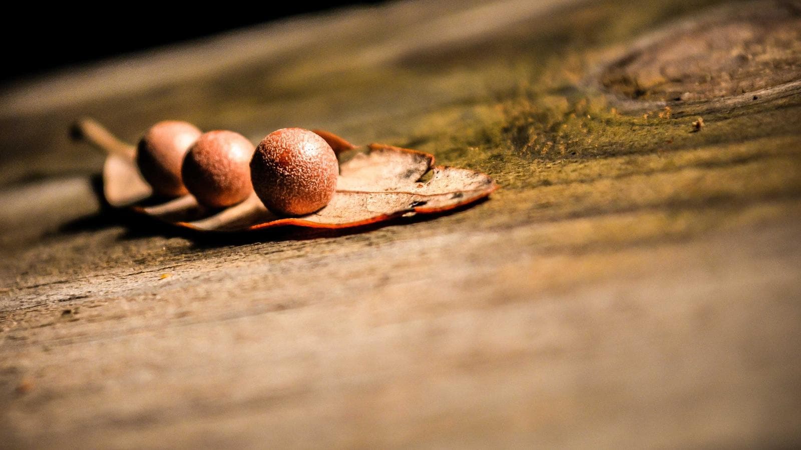 The Slow Productivity Movement: Why Doing Less Is Suddenly Cool