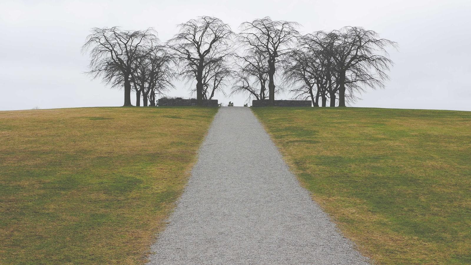 The Decline of Big Consulting and the Rise of Fractional Experts
