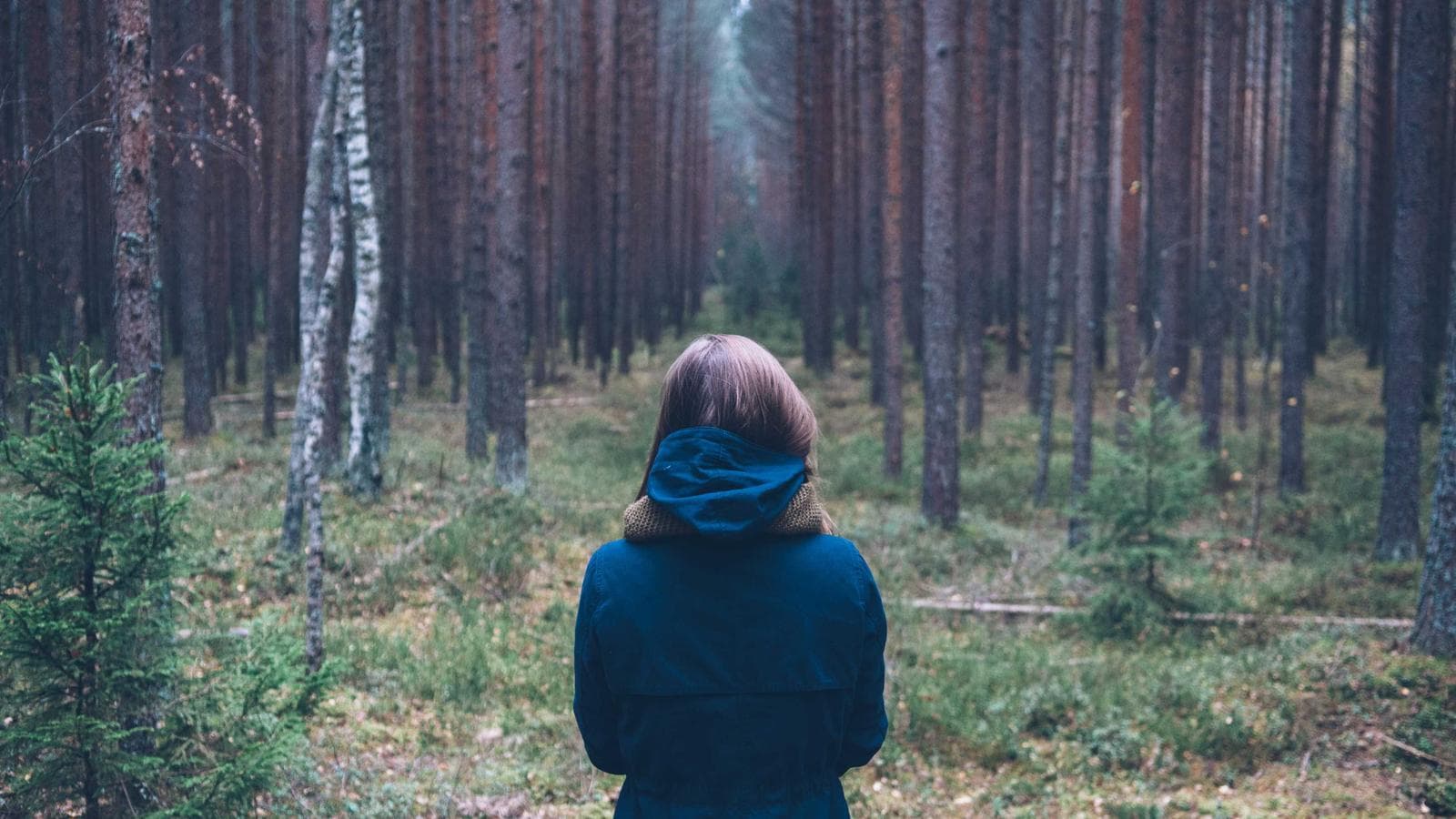 The Quiet Luxury of Not Being Reachable
